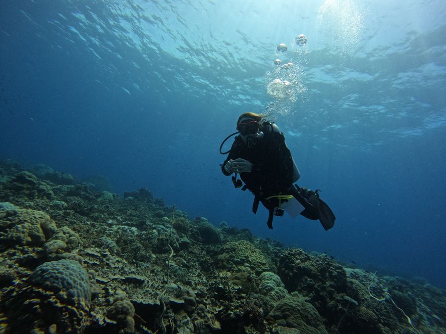 scuba diver blowing bubbles underwater