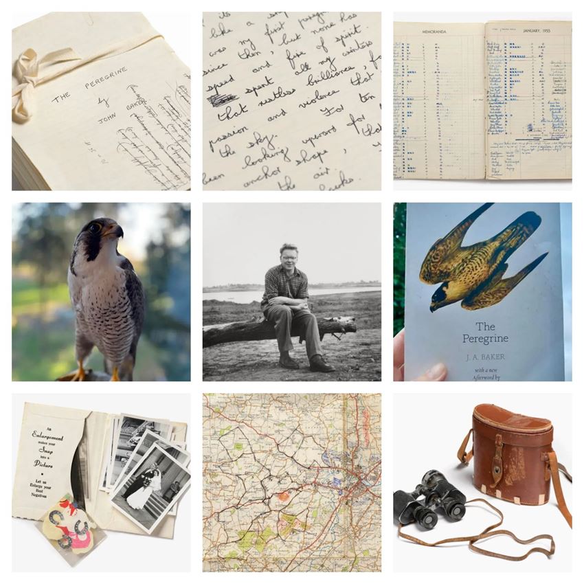 Six items from the Baker Archive Collection in a form of a collage