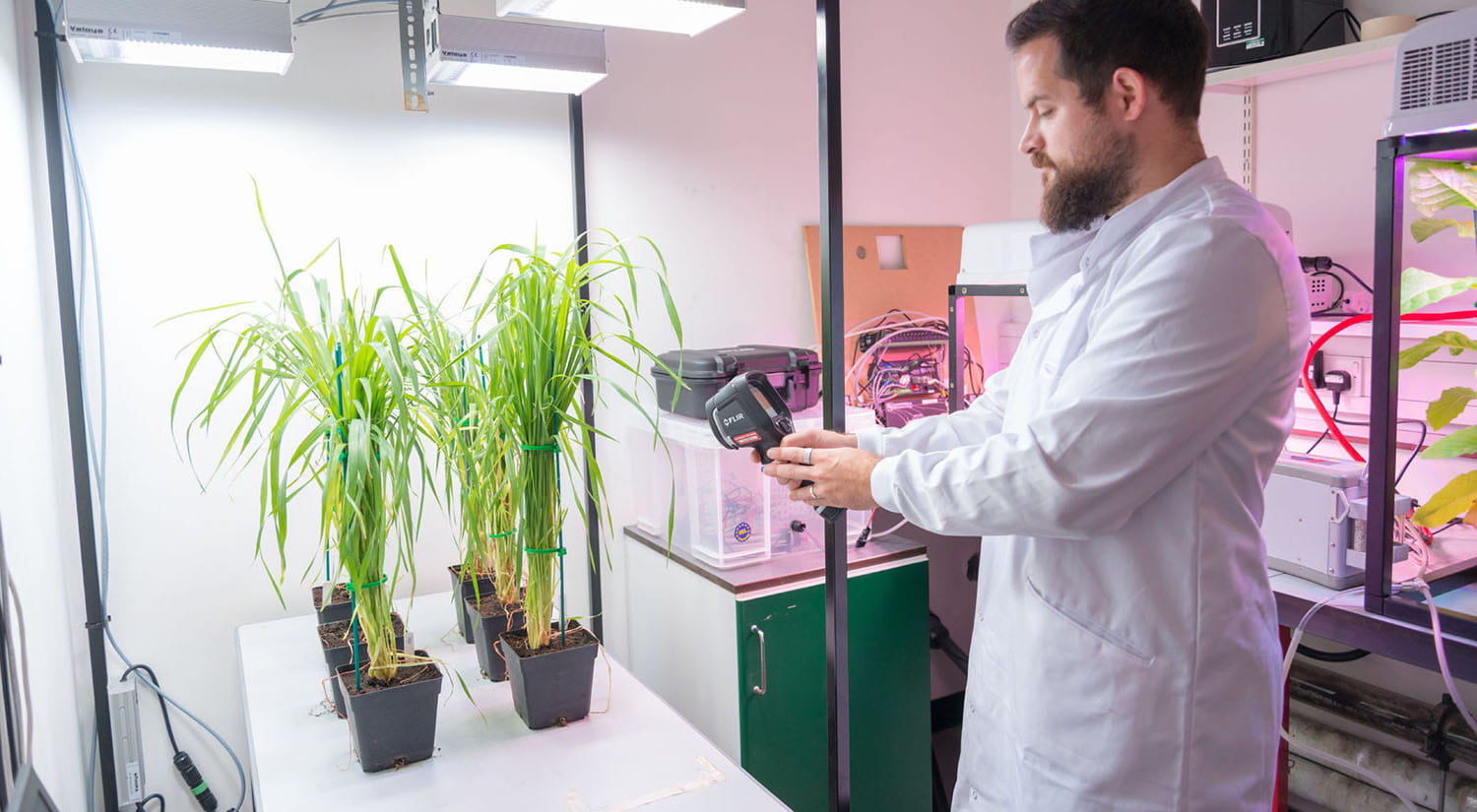 Student working with plants in a biology laboratory