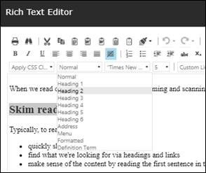 Sitecore rich text editor box