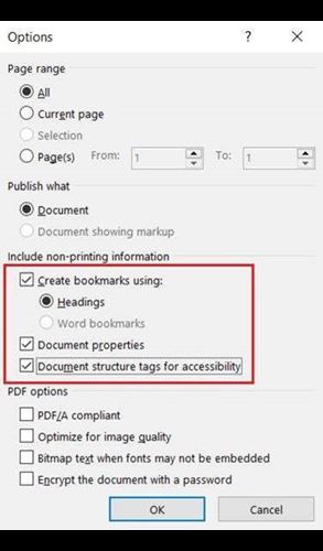 Screenshot of Microsoft Word accessibility options