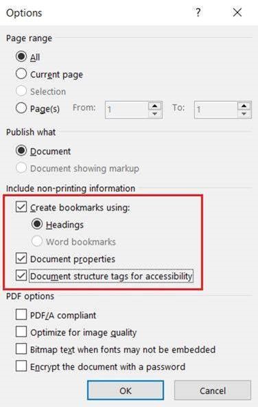 Screenshot of Microsoft Word accessibility options