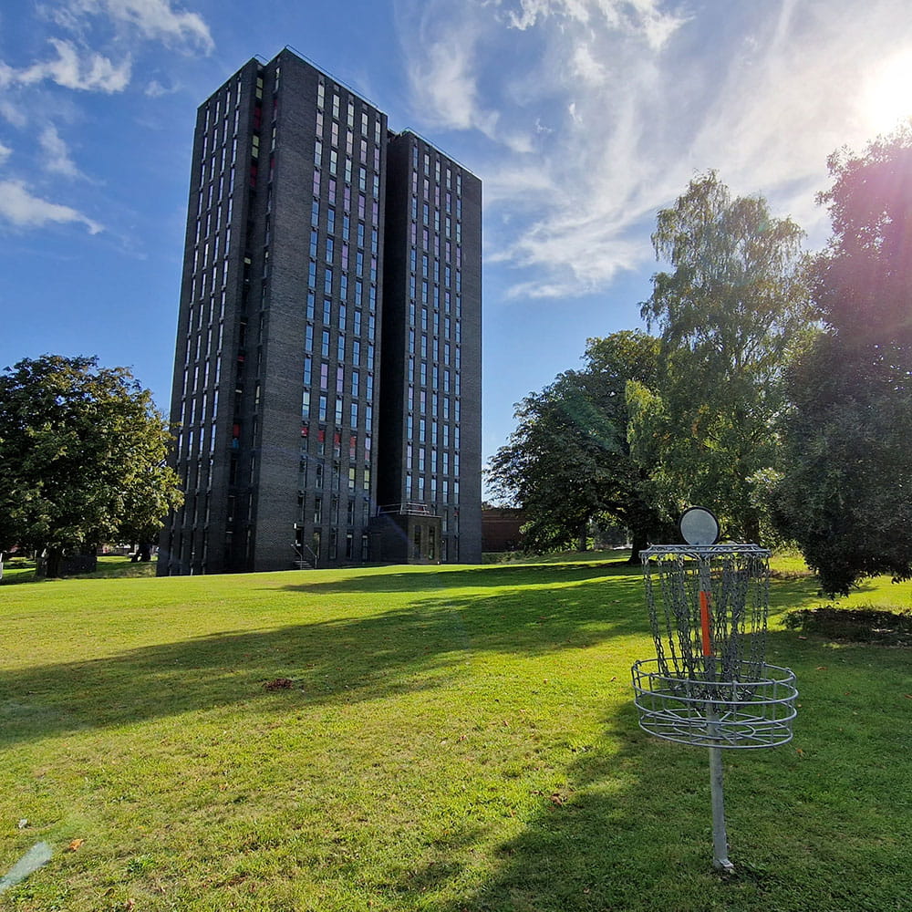 Disc Gold basket hole 2