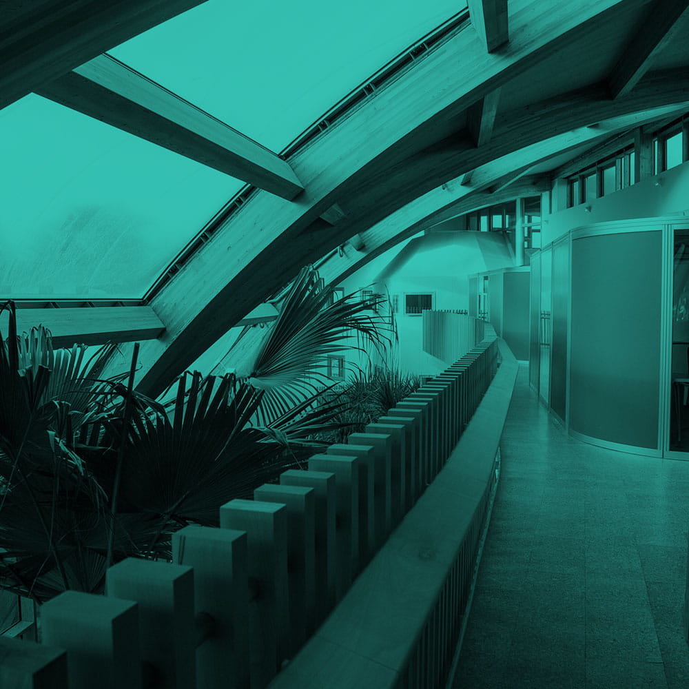 Duotone gradient of detail from the Essex Business School