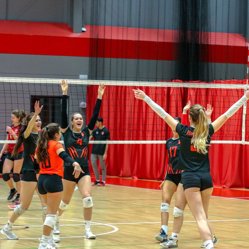 Our performance sport volleyball team