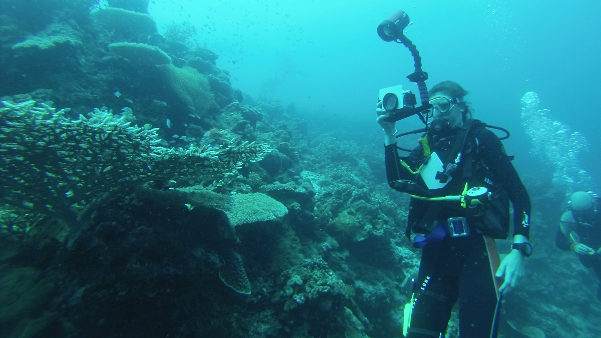An underwater photo of Dr Michelle Taylor from the School of Life Sciences, in diving equipment with an underwater camera next to a coral reef. The water is a lovely shade of turquoise blue.)