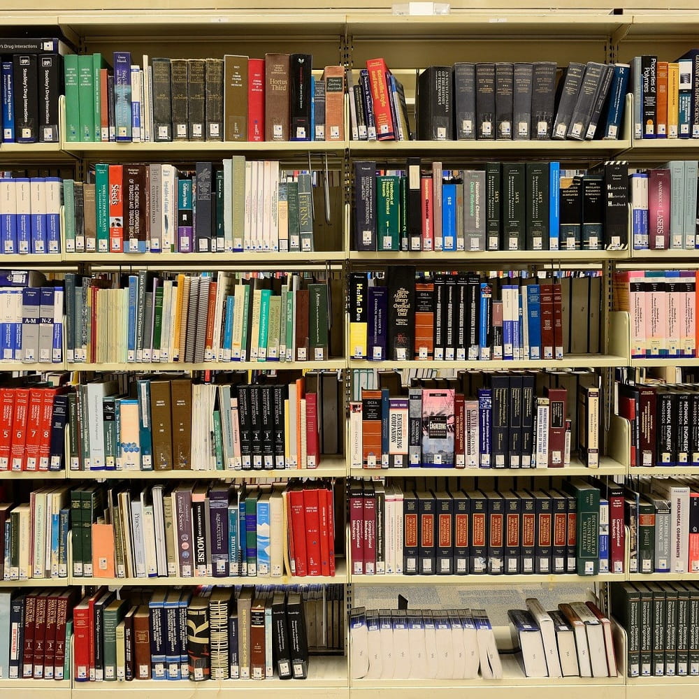Shelves in a library, filled with books.