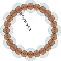 A ring of orange circles within larger pale blue circles. A thin blue graph line extends from one orange circle into the centre of the ring.