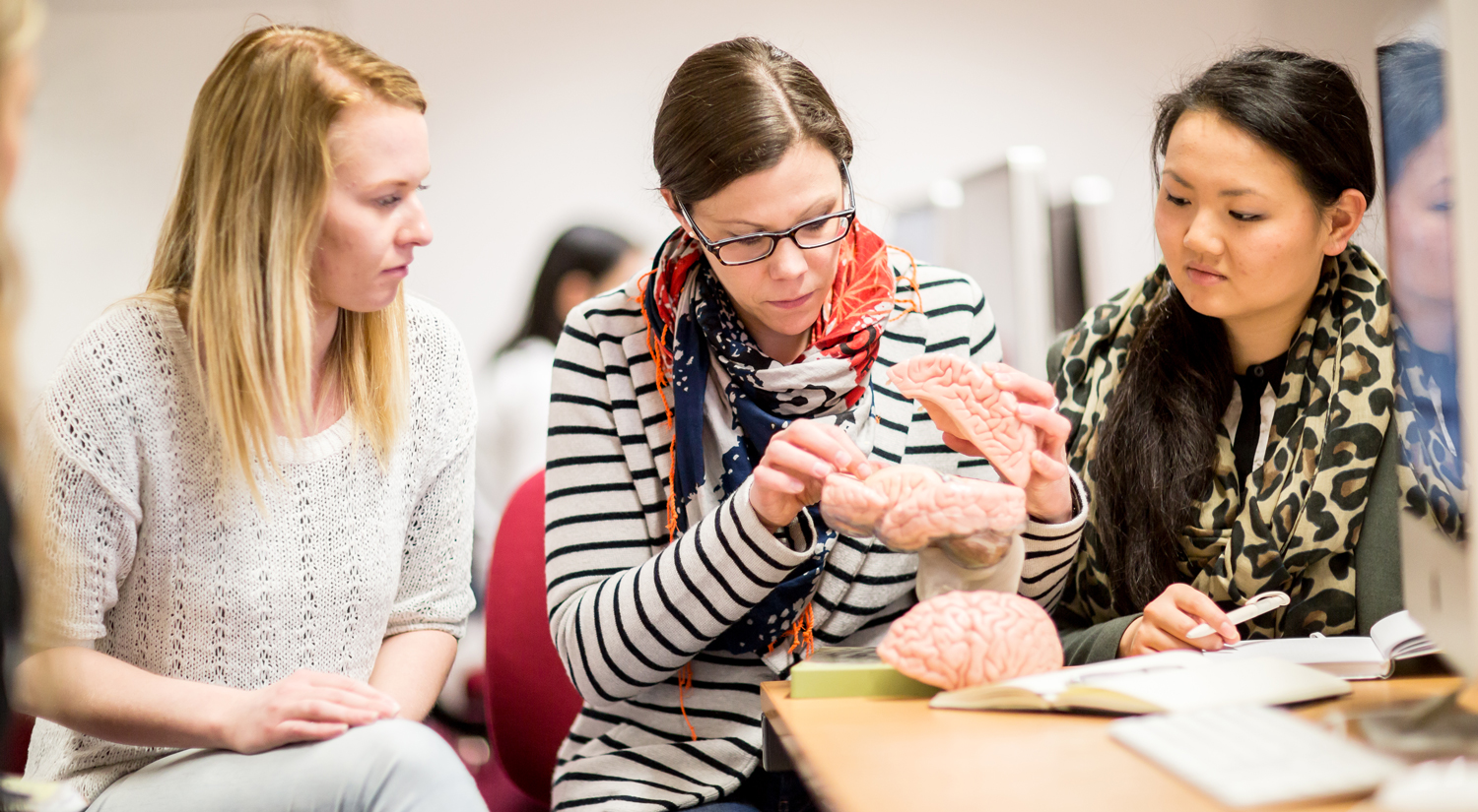 Professor Silke Paulmann from the Department of Psychology is sitting in the middle of the shot with a plastic model of the human brain which is partially taken apart. A student is sitting either side of her, looking at something she is pointing at on the model.