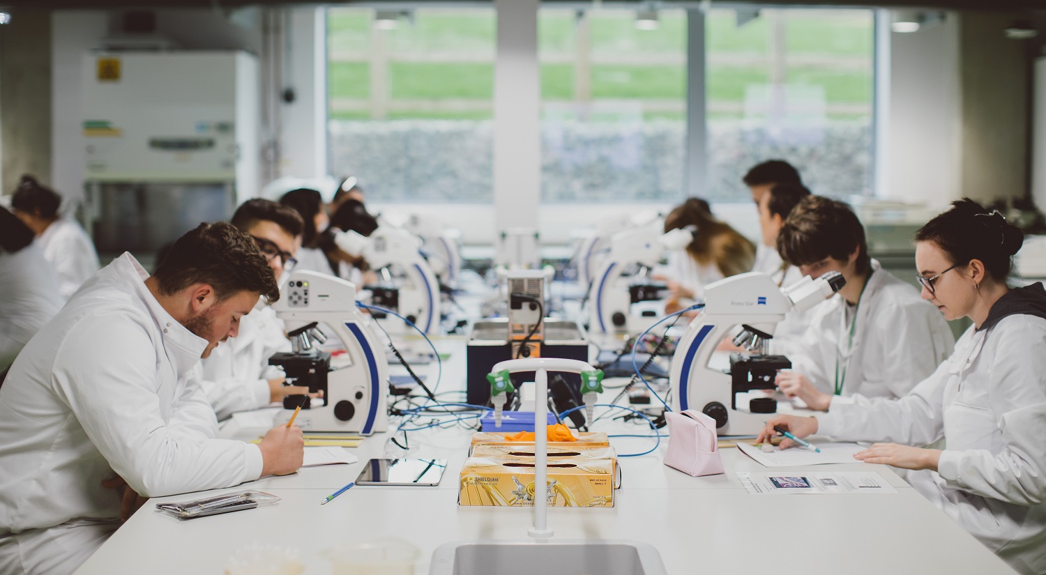 A shot from one end of a long laboratory desk. The desk has digital microscopes, sinks and taps, and other laboratory equipment down the middle. Sitting on either side is a row of students in white lab coats, working with equipment, or reading notes.