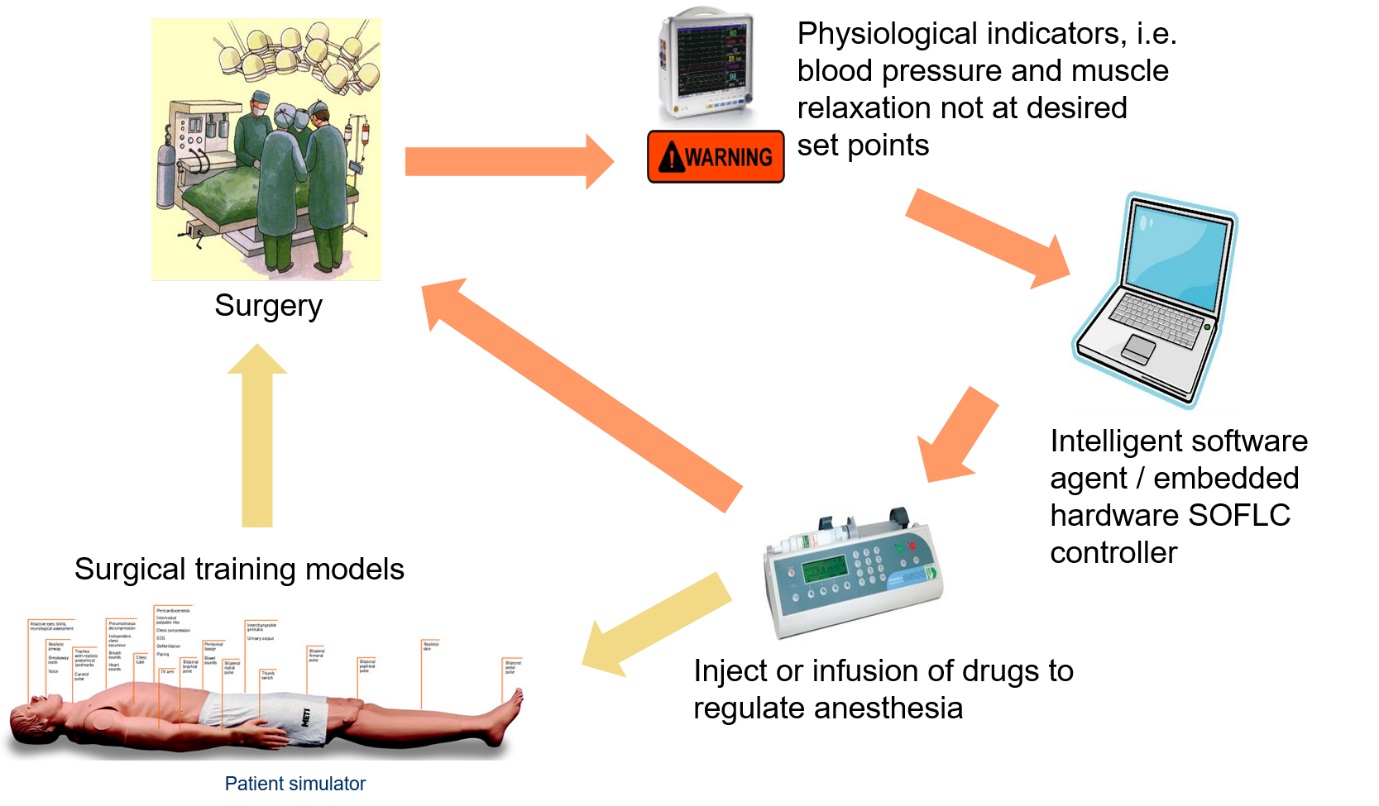 Diagram showing the process of automatic monitoring and drug delivery for surgery and training.)