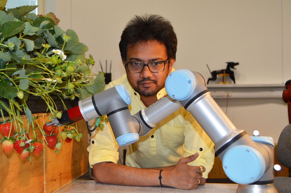 Our strawberry-picking robot has grown from a single robot arm...