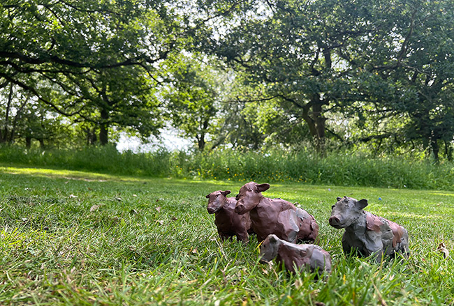 A family of four miniature cows (made out of clay) enjoying a nice day out in Wivenhoe Park.