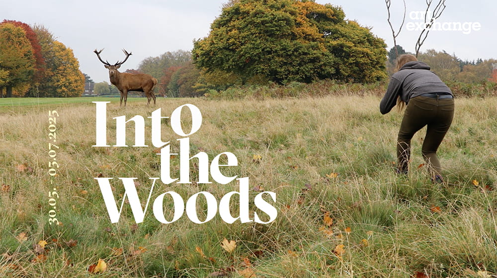 A person is crouched in the foreground of a large field, their back to the camera. In the background, a deer with large antlers is looking towards the camera. Overlaid on top is the text 'Into the Woods' with the dates 30 May to 5 July 2025.