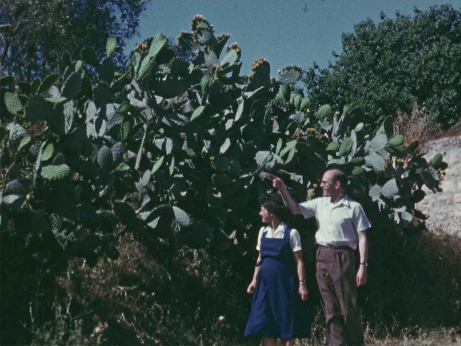 A still image of archival footage from Theo Panagopoulos' short documentary ‘The Flowers Stand Silently, Witnessing’ (2024).