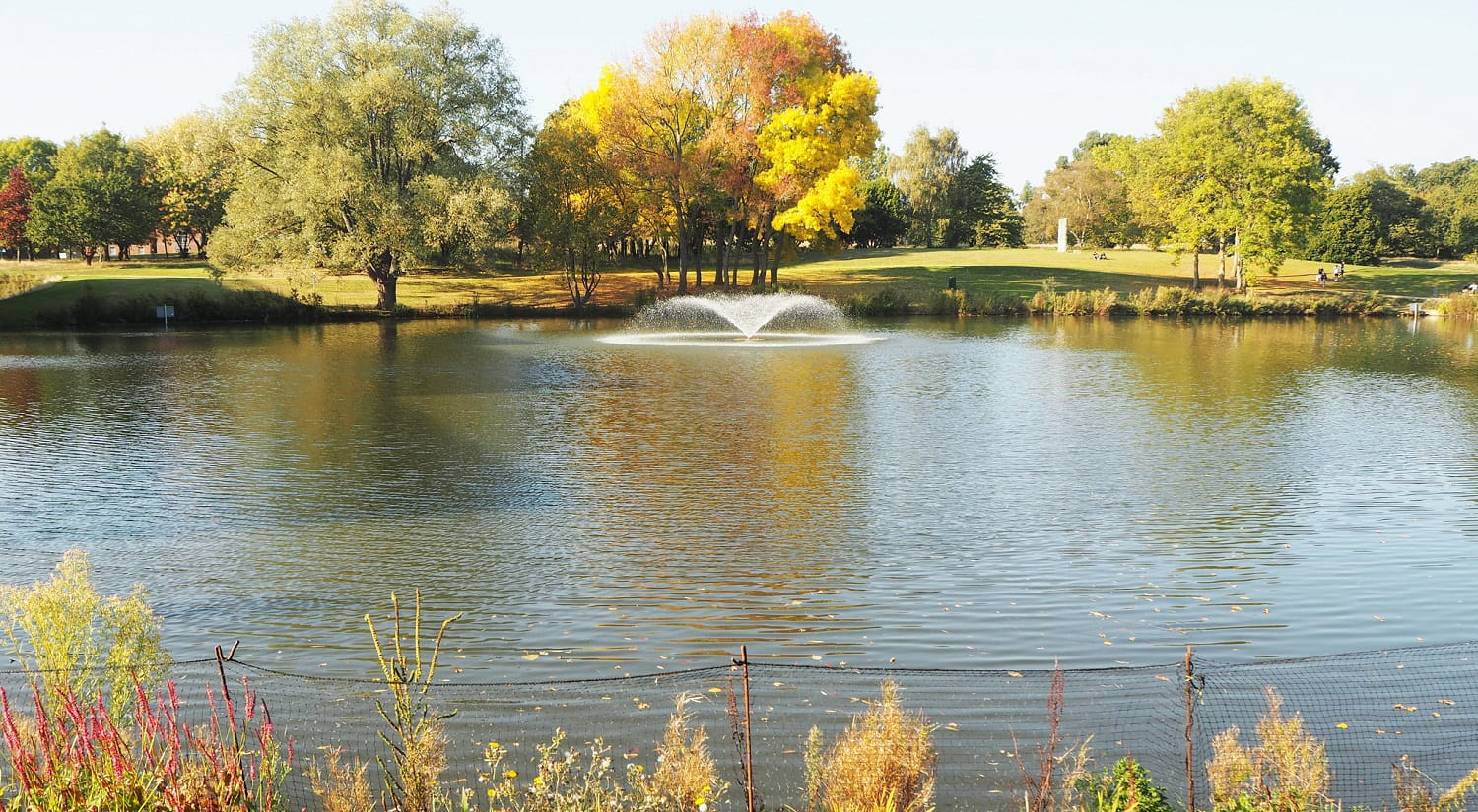 Relax by the lakes at Colchester Campus 