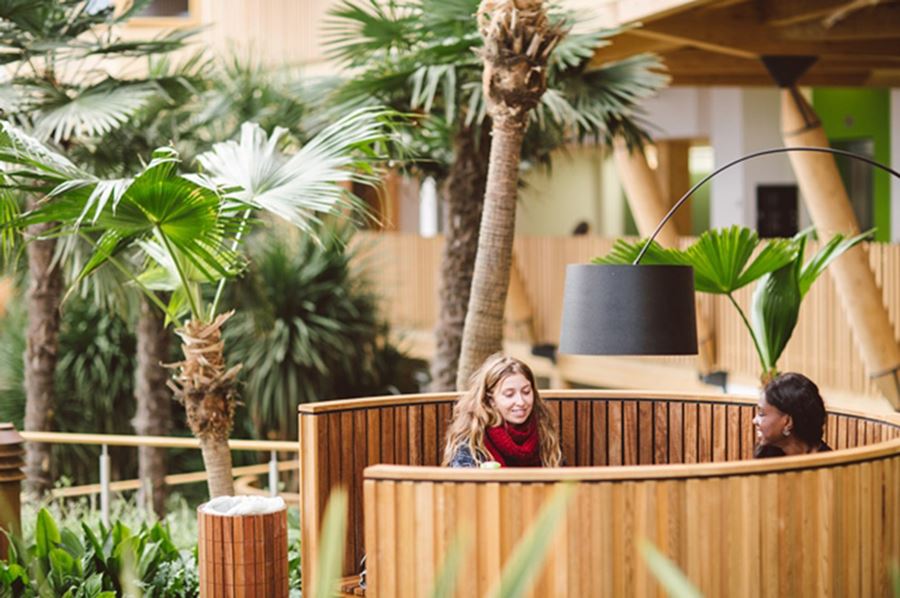 Inside the winter garden at Essex Business School.