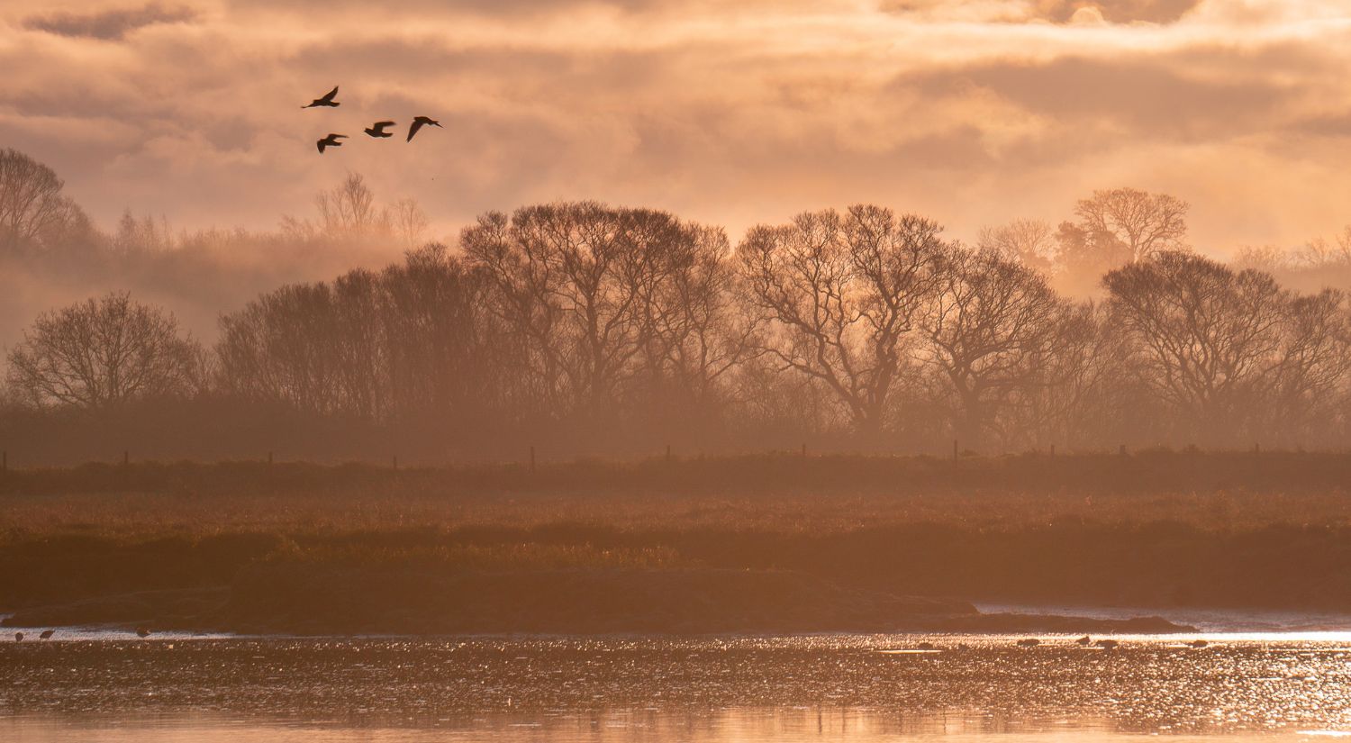 Ode to the River Colne by Dan Sceats