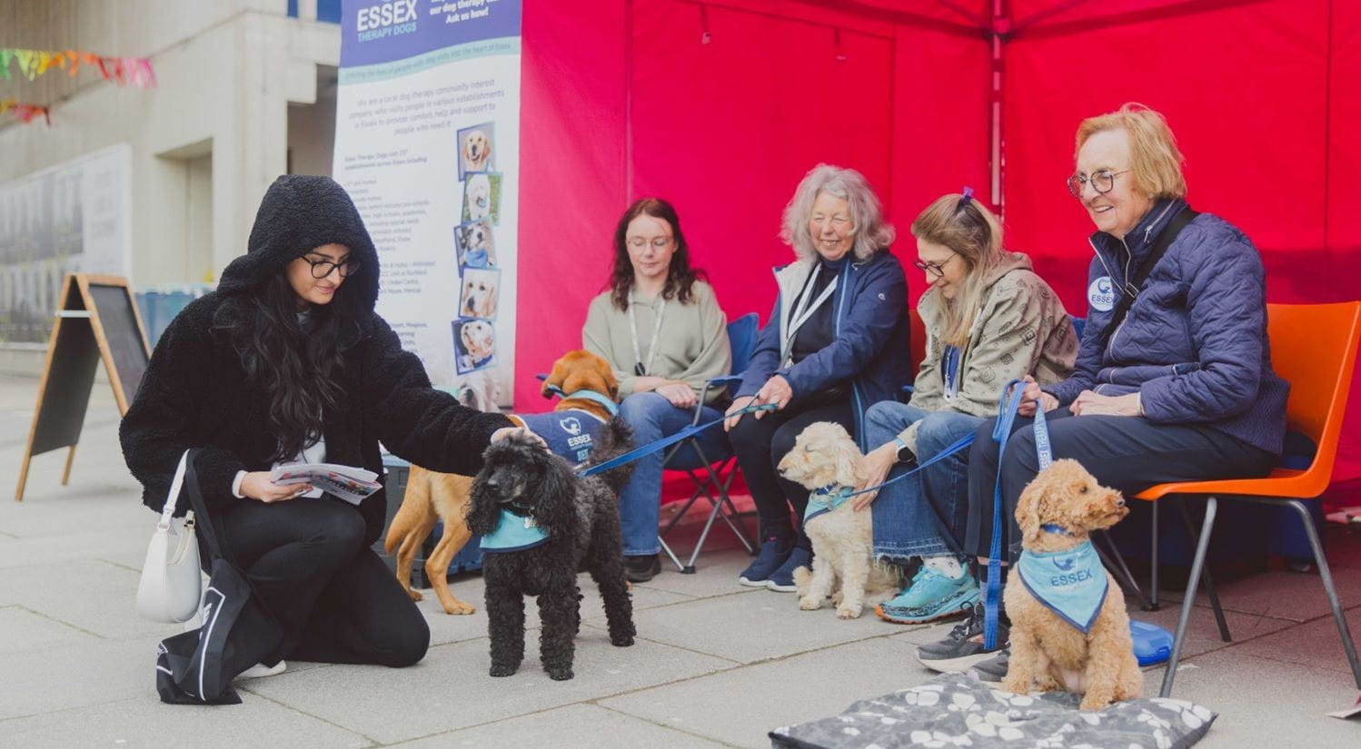 An Open Day visitor stroking a therapy dog.