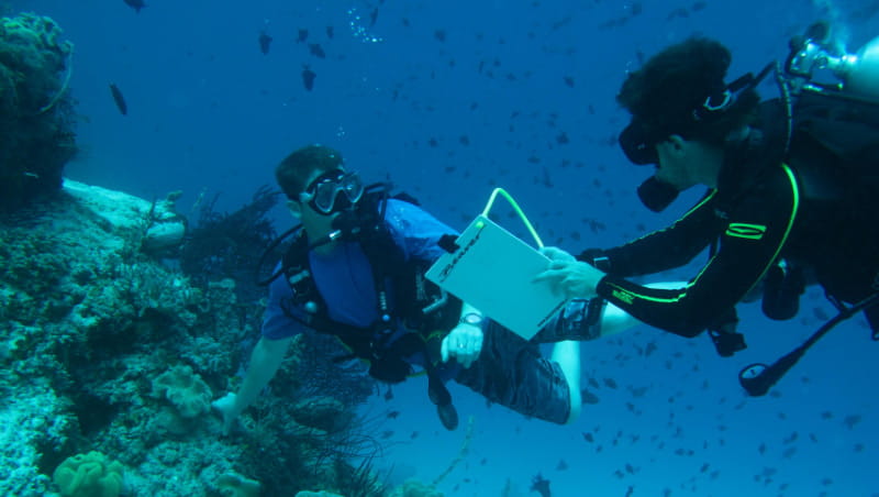 Marine biology students doing an underwater survey in the coral triangle in Indonesia