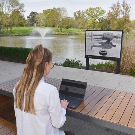 Female student using a laptop sitting besides one of the lakes on the Colchester Campus