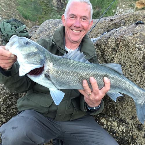  Bass Catch Recording Scheme   