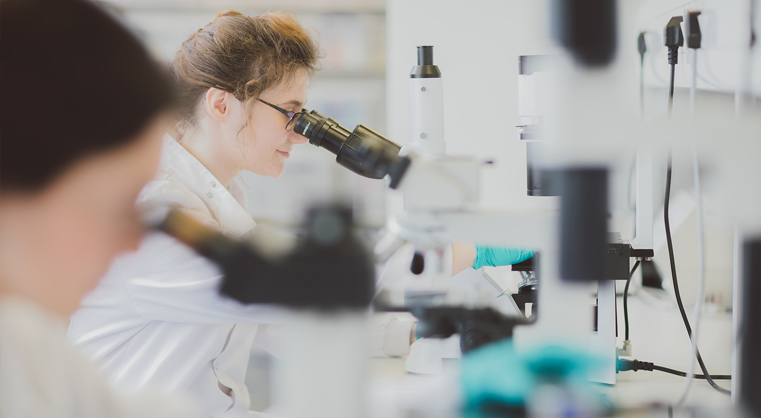 Students in a lab using microscopes