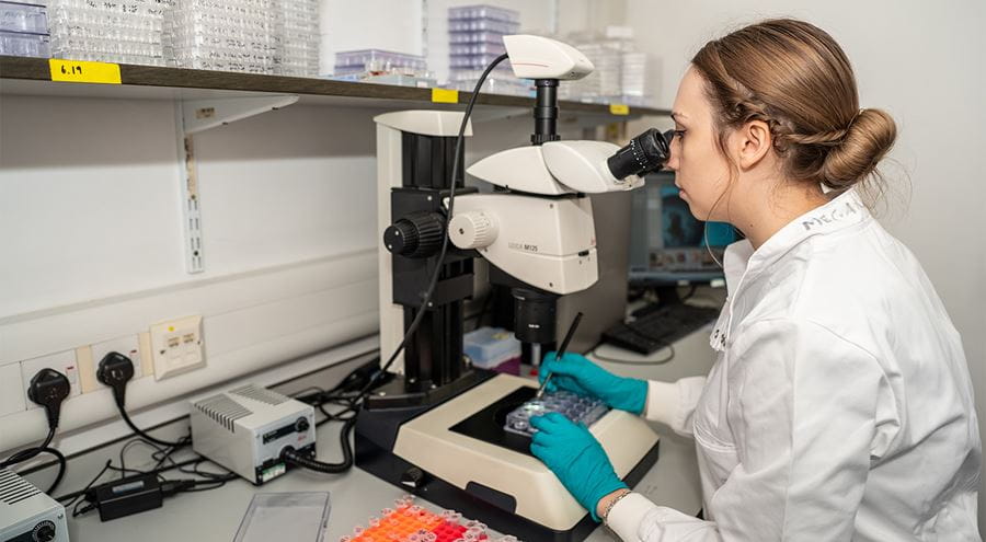 Biochemistry student in a small lab using a microscope to conduct research