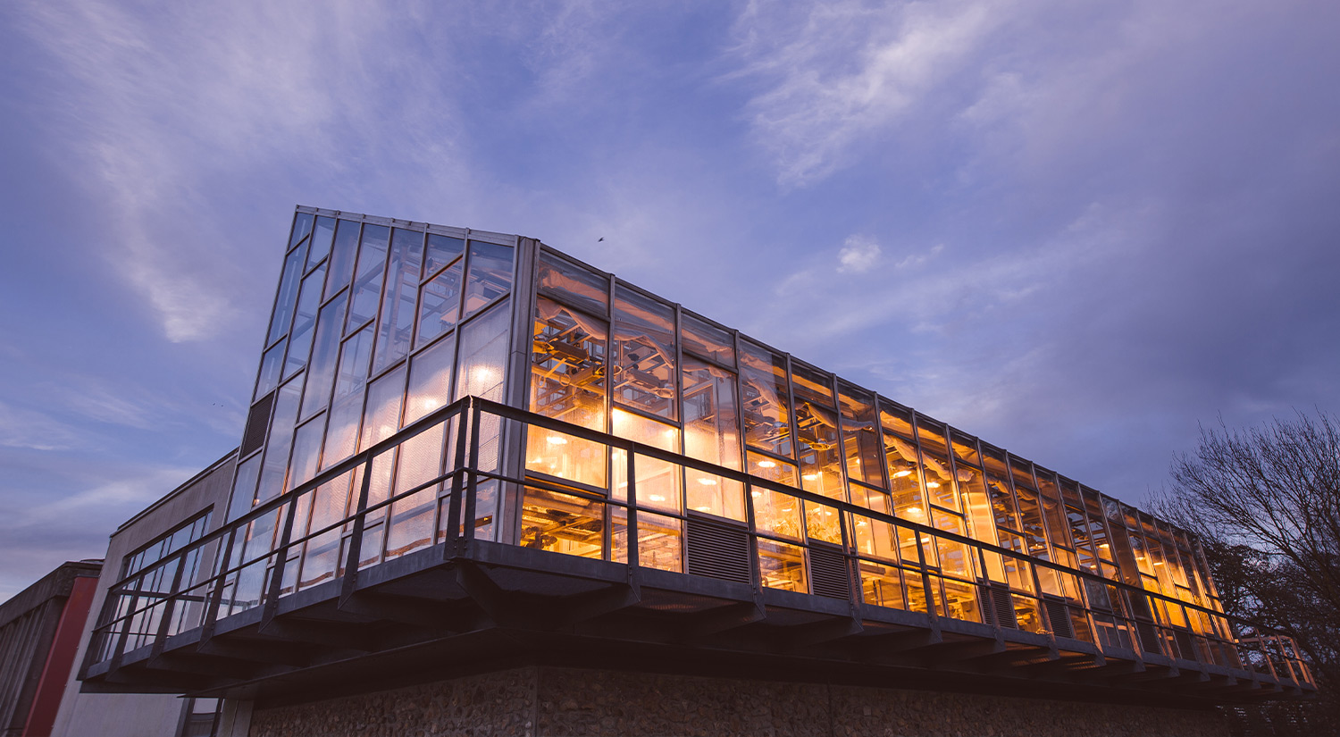 The large research greenhouse - part of our School of Life Sciences