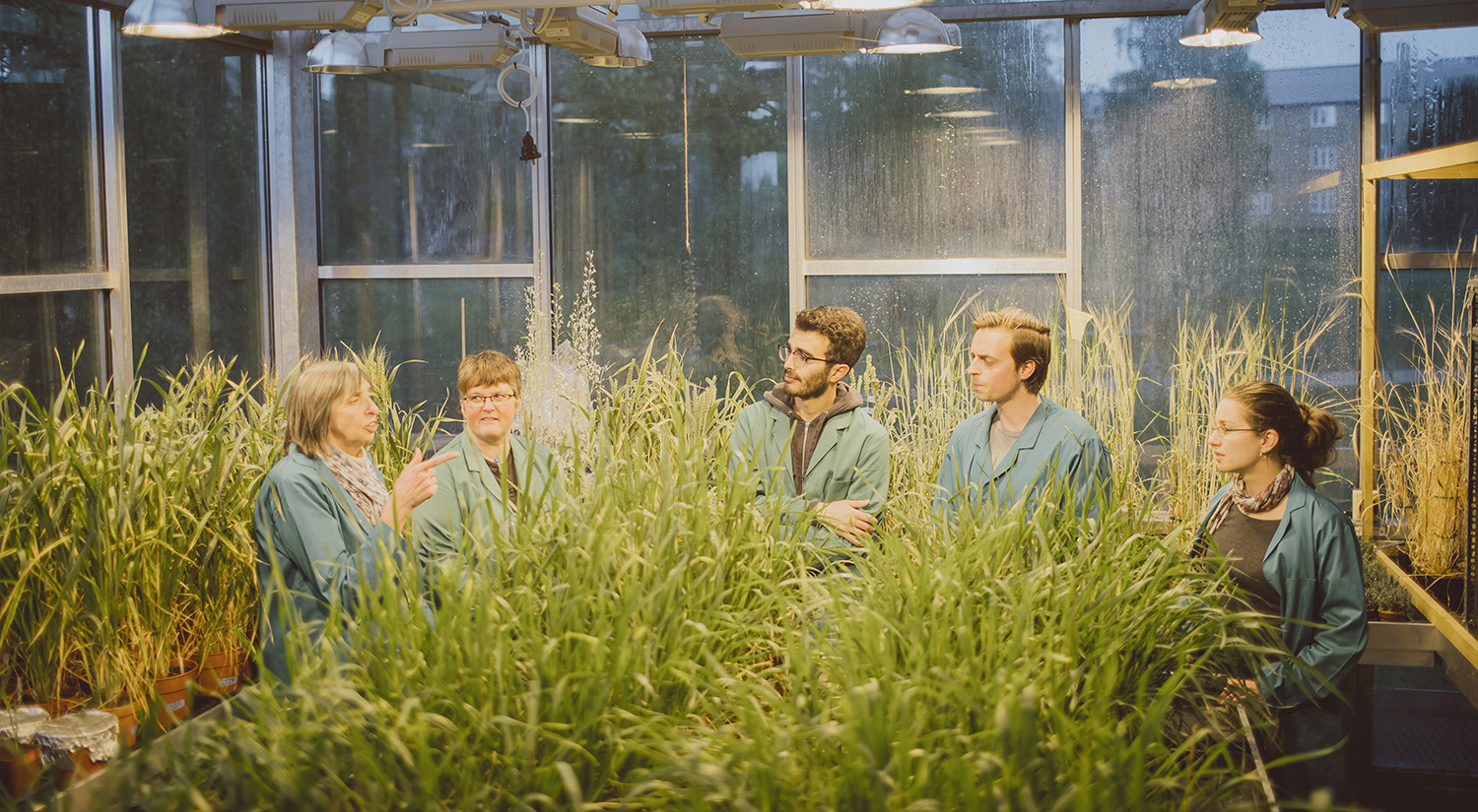 Students and staff discussing research in the greenhouse surrounded by plants