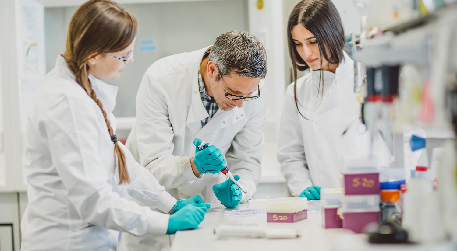 Students and a member of staff work together in a biomedical science lab