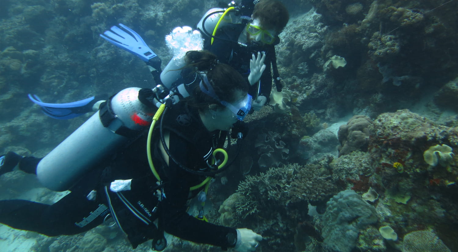Marine biology students SCUBA diving in the Hoga Island marine conservation area.
