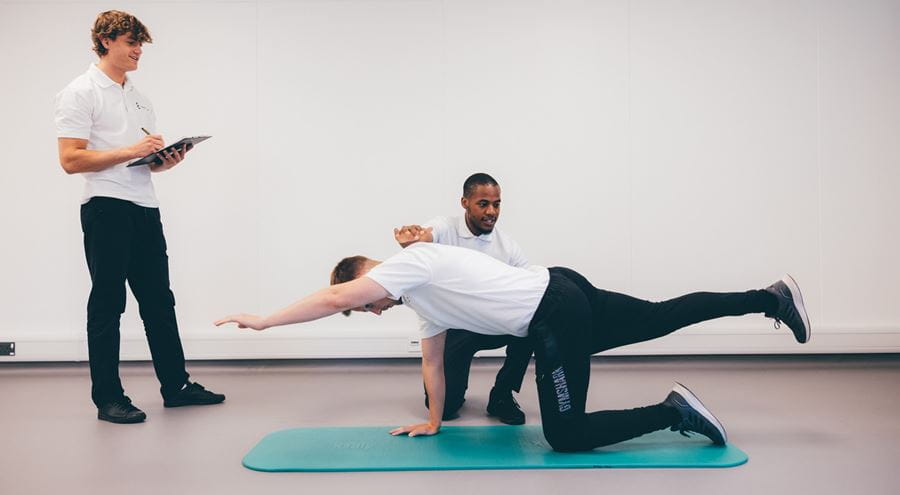 Three physiotherapy students engaged in practical work