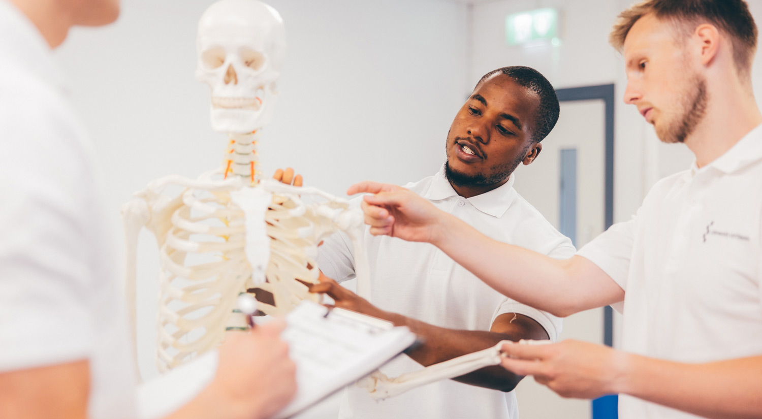 Physiotherapy students studying the human skeleton