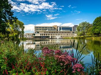 The lakes at Wivenhoe Park