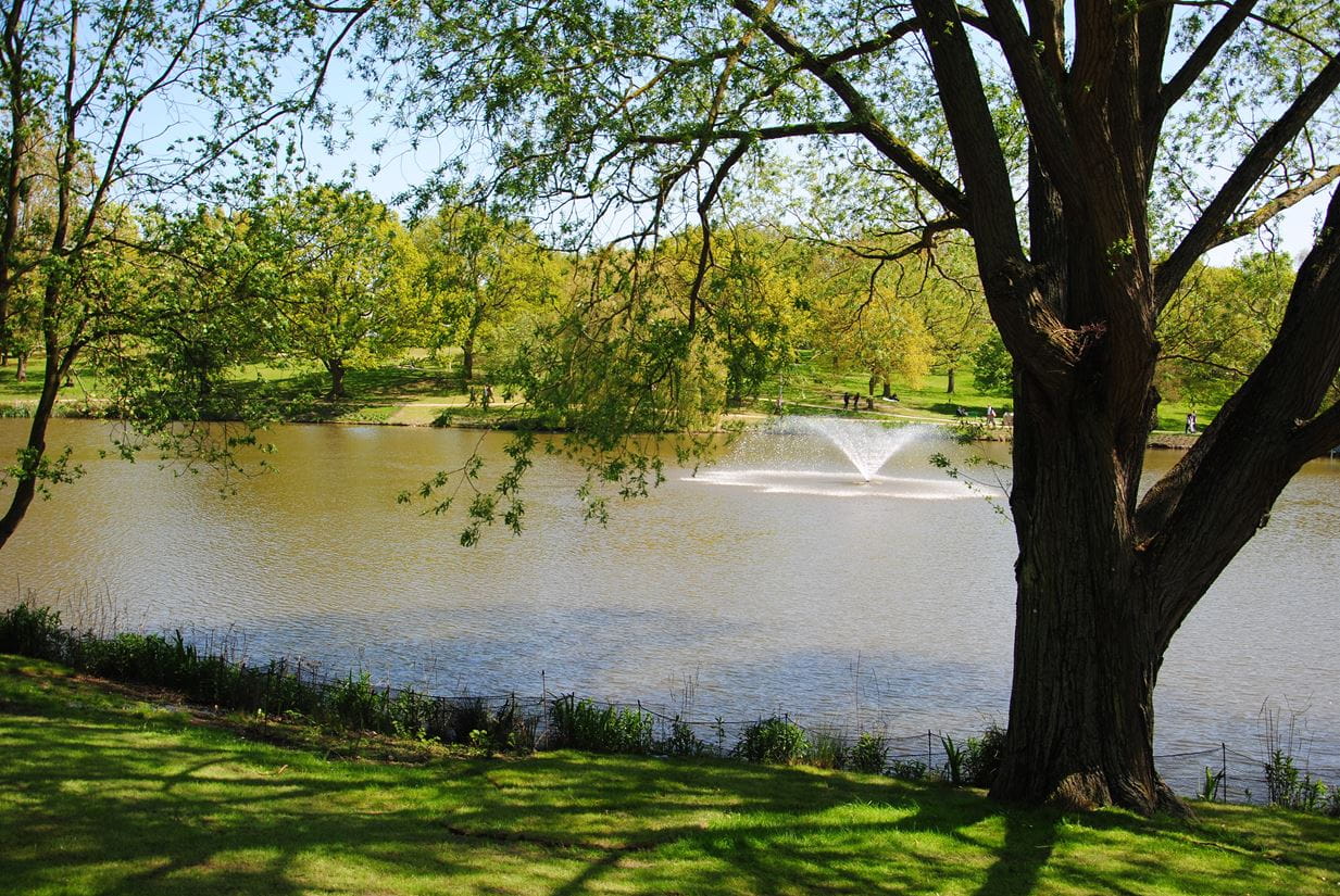 Lake at Colchester Campus