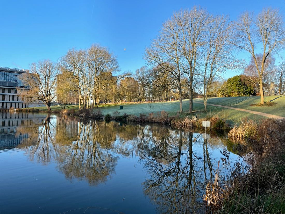 A view across the lake at Colchester Campus