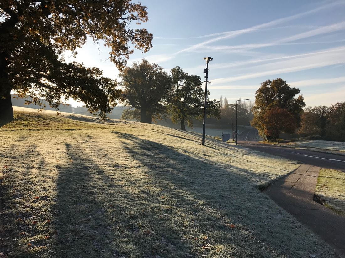 A grassy bank in front of a blue sky
