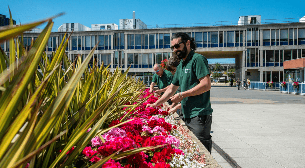 Grounds Team at Wivenhoe Park tending to the flower beds