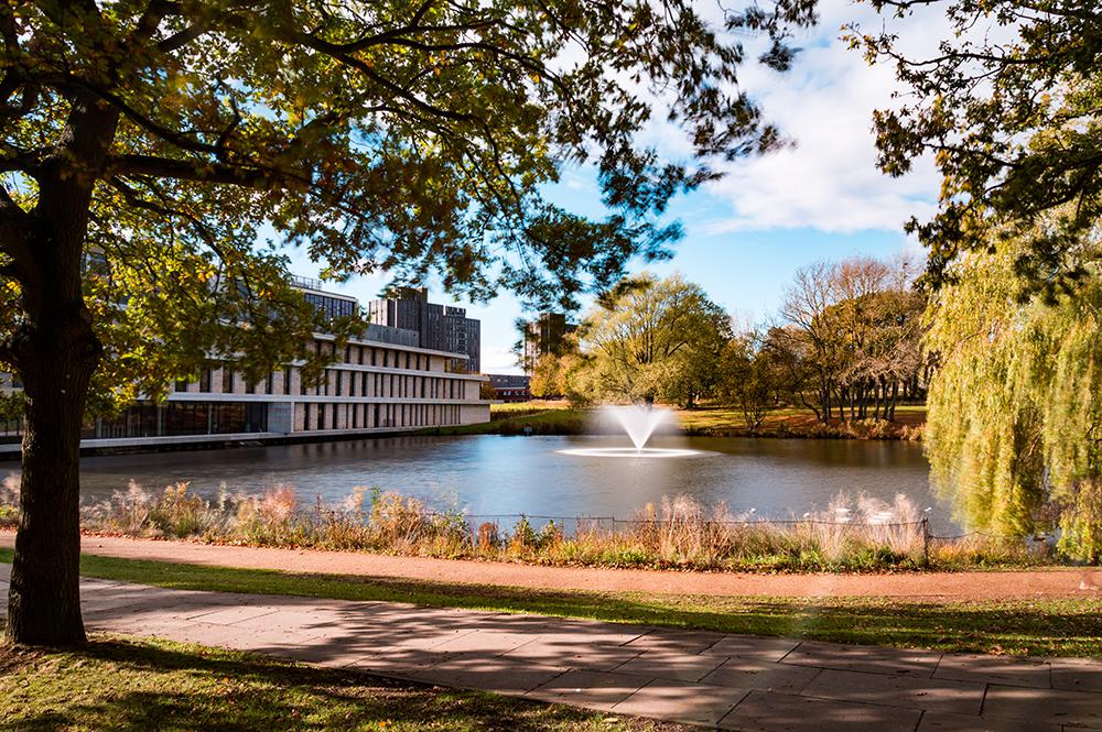 A low sun lights up the fountain in the lake by the Silberrad Student Centre and illuminates the autumn colours of surrounding trees and grass banks.