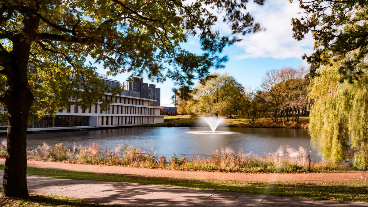 A low sun lights up the fountain in the lake by the Silberrad Student Centre and illuminates the autumn colours of surrounding trees and grass banks.