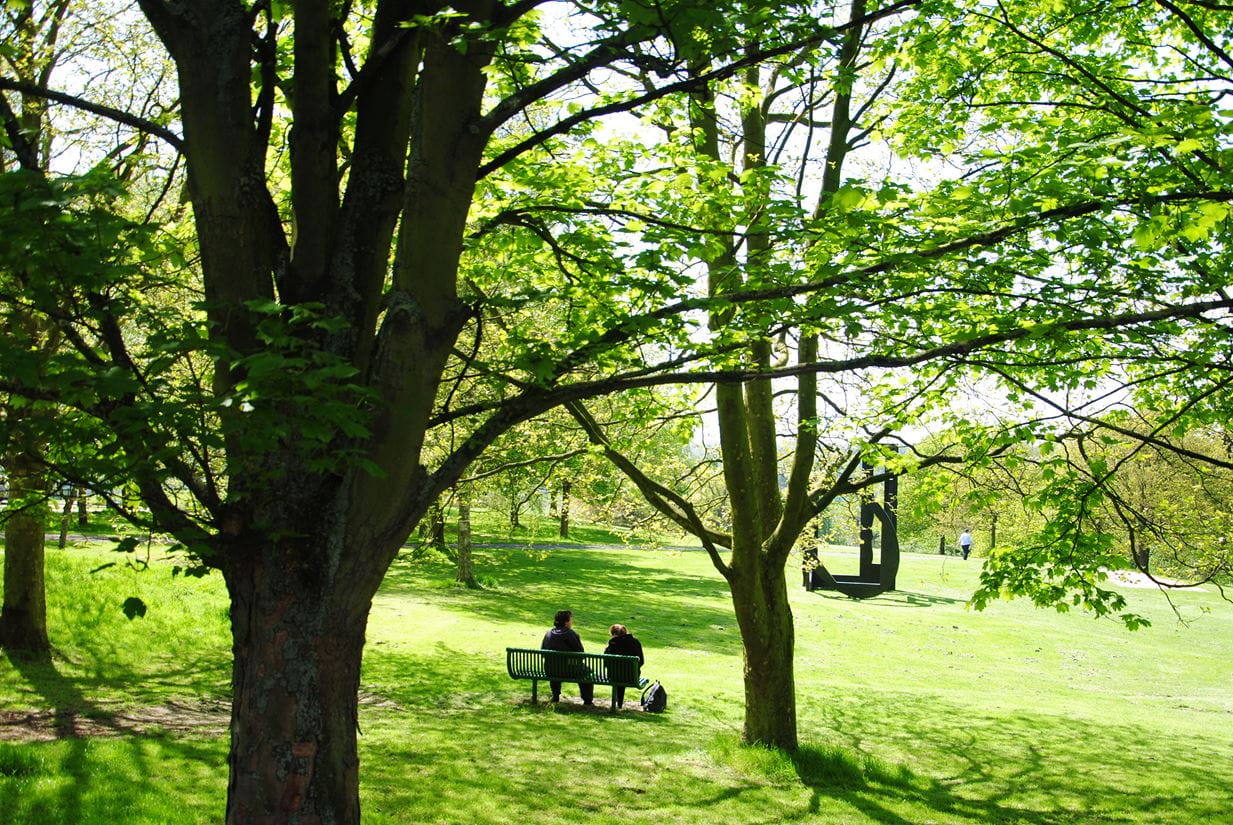 people sitting on a bench in the distance with trees and grass surrounding them