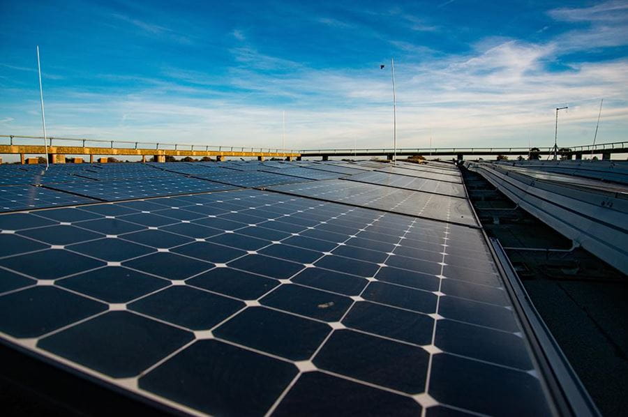 Rows of solar panels catch the sunlight on the roof of the Albert Sloman Library, Colchester Campus.