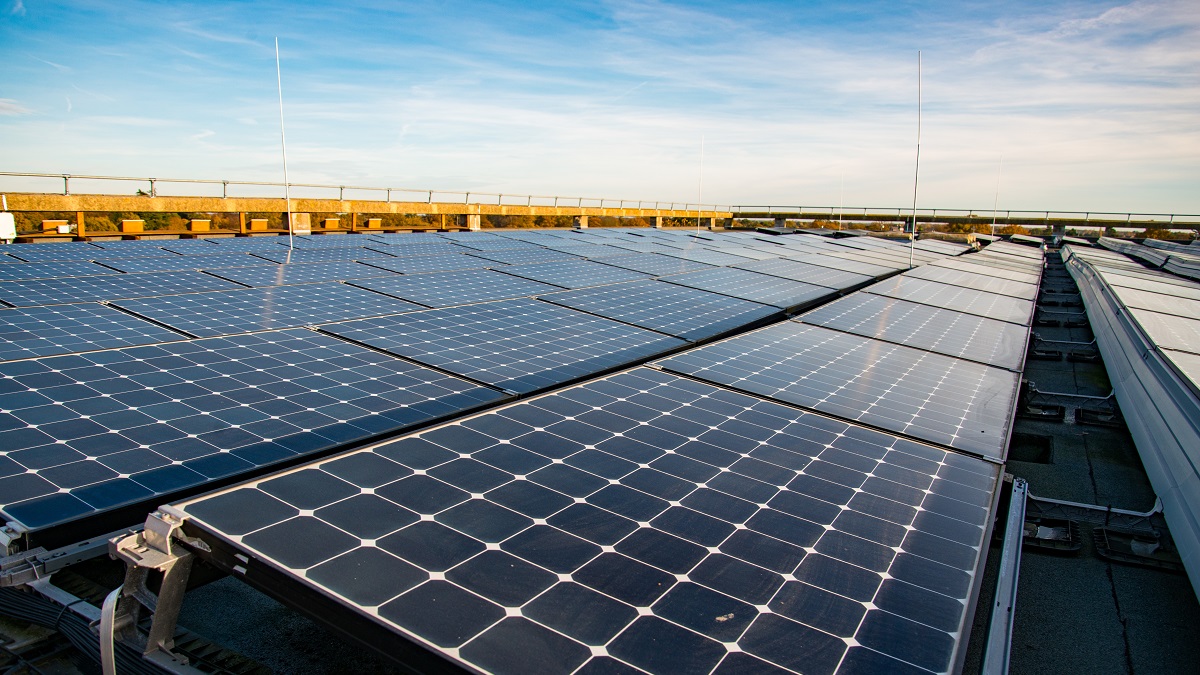 Solar panels on the roof of the Albert Sloman Library.