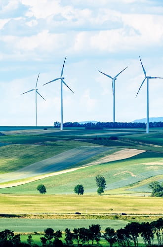 wind turbines in field