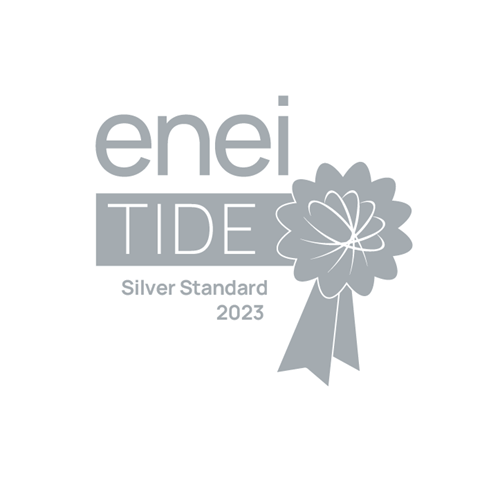Enei Tide Silver standard logo