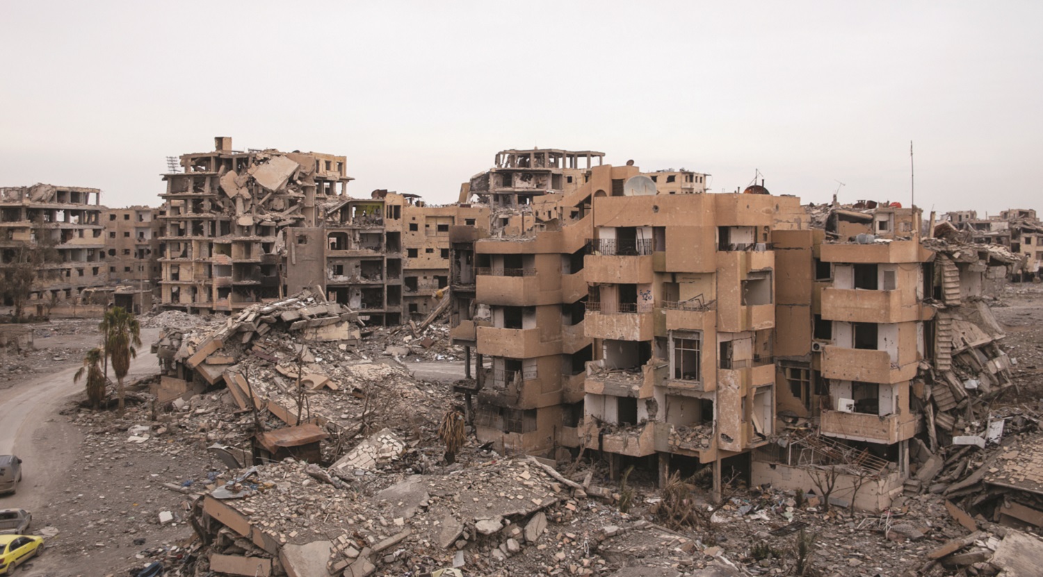 Work for leading human rights organisations like Amnesty International and the United Nations