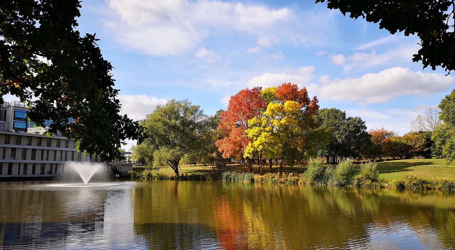 A view of the lakes at Colchester Campus