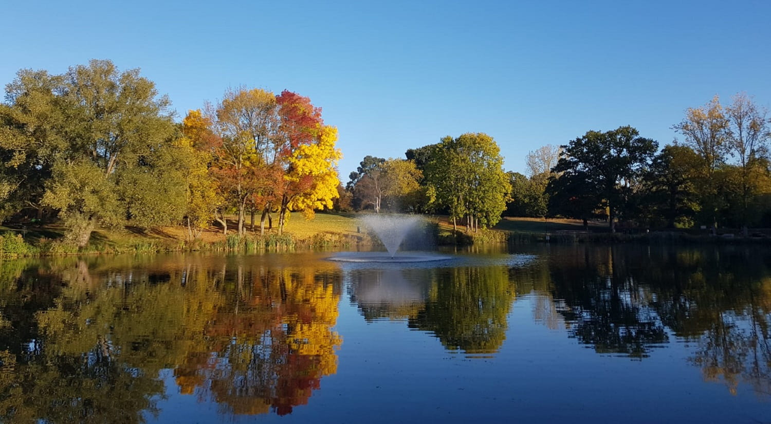A view across a lake at Wivenhoe Park