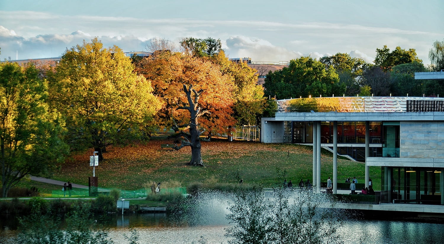 Lake and trees